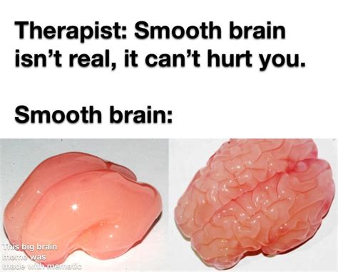 Mumei smooth brain is a meme that shows a slide with a brain and the caption "Insult Me All You Wish My Brain Is Too Smooth". It is a humorous way to mock …